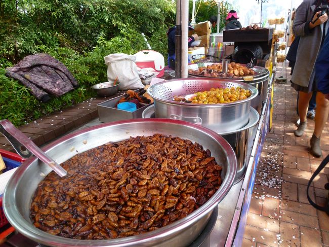 これはなんて言うんだっけ？<br /><br />昆虫……