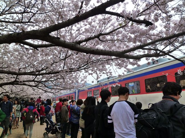 乗客の方と手を振りあいます。<br /><br />私は両手を振りました。~~\^o^／~~