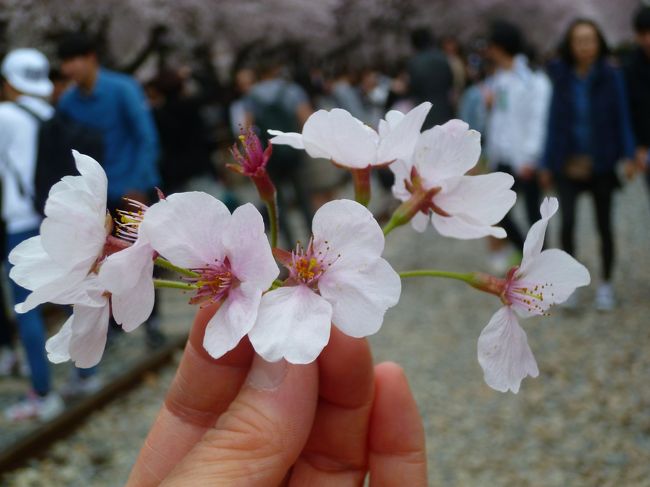 拾っちゃった。^^