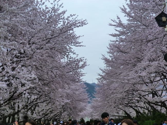 この景色が見たかった〜<br /><br />「慶和駅」は、韓国で『行くべき美しい場所ベスト50』の第５位に選ばれています。<br /><br />