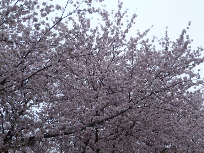 ↓↓↓そして、そして、 私の春歌一番ｓｏｎｇです！！<br /><br />♪〜<br />こういう夢なら もう一度逢いたい 春が来るたび大きくなれる<br />そういう気持ちを忘れずにいたら 強く生きられるような気がして<br />雪がやんで寒さも消え 今年もあの季節が来る<br />あぁ春が来る〜〜<br />−− Ｈｙｓｔｅｒｉｃ Ｂｌｕｅ・春〜ｓｐｒｉｎｇ〜 −−