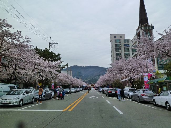 行き先を決めかねたまま「中原ロータリー」まで戻ってきたら、ケーブルカーが見えたので「帝皇山」に行くことにしました。