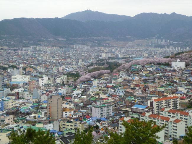 鎮海の街並み。<br /><br />きつかったけど、あがってきて良かった。^^