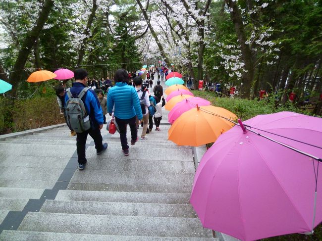 登ったものは降りなければなりません！<br /><br />足はガクガクです。<br />ころばないよう注意して降りました。