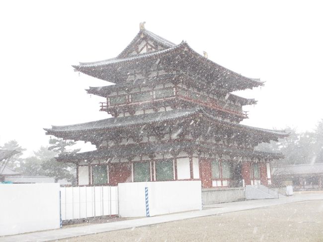 　あれま・・・急に雪が降り始めました。<br />金堂が白くなりました。