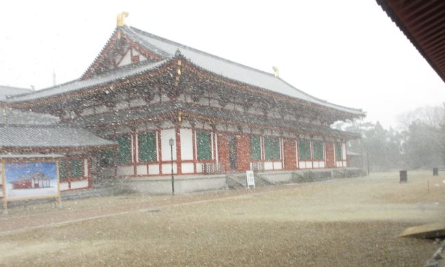 　雪上がるかなあ・・・。