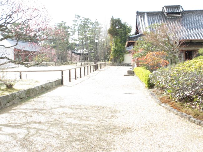 　東僧坊に休憩所があり、そちらに集合。<br />それから今度は玄奘三蔵院伽藍に向けて歩きました。