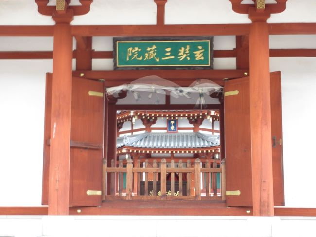 　ちょっとアップ