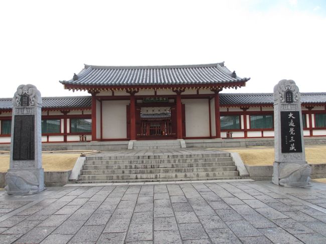 　全体的に写してみましょう