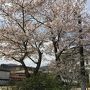 あみんちゅ暴走南国の旅その弐先島諸島‐伊良部島・宮古島・？？？島・波照間島・石垣島～予定は未定・ハイライト＆ライブ編～