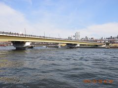 14番目の橋は歩行者専用橋の桜橋です。
http://ja.wikipedia.org/wiki/%E6%A1%9C%E6%A9%8B_(%E6%9D%B1%E4%BA%AC%E9%83%BD)