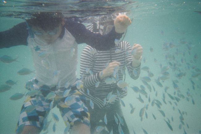 サンゴを迷路のように進んでいくと、急に深いところが！<br />お魚いっぱい！！