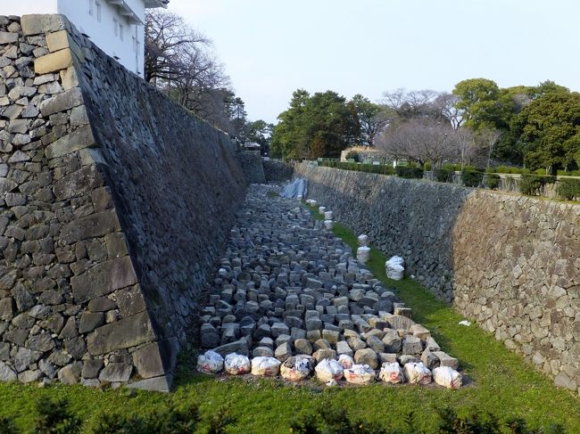 工事中でしょうか