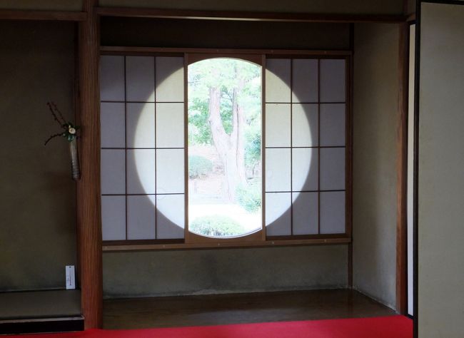 さらにアップで