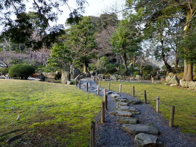 紅葉の季節が良いかも