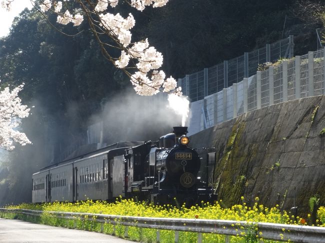 SL人吉を追いかけて（桜満開の肥薩線）』人吉(熊本県)の旅行記