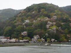 そして、大堰川（桂川）の向こう岸の山にも桜が咲いてて・・・きれいですね〜