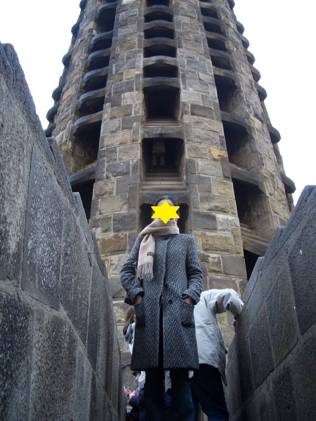 トウモロコシとトウモロコシの間。