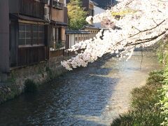 祇園白川の桜です。京都らしい風景には桜が合います。
