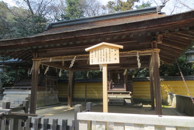 2015春、四国周遊の旅(24):3月31日(8):香川、金刀比羅宮、一茶句碑、本殿、高台からの眺望