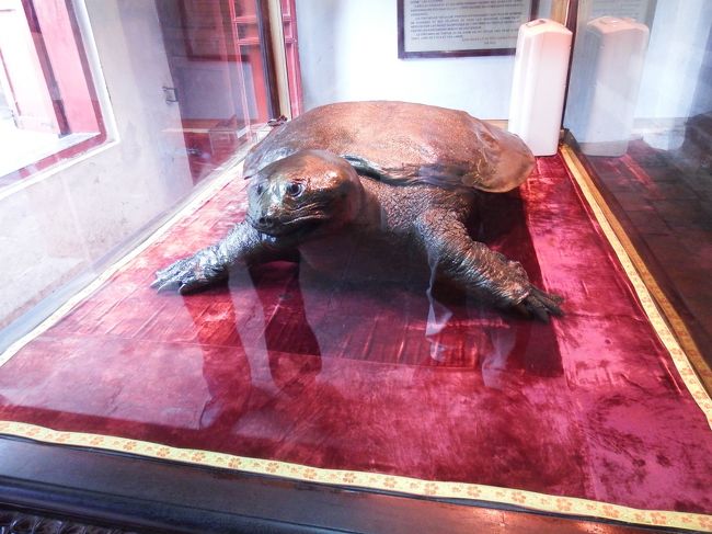 ホエンキエム湖に到着。<br />こちらは玉山祠の中にある巨大な亀の剥製。実際にここで発見されたものだそうです。<br />今現在も、これと同じ大きさの亀がこの湖にいるとか・・・！