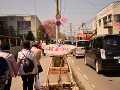 まずは，駅から徒歩15分程度という
「柴田町船岡城址公園」に向かいます．
街中も桜一色．
渋滞がすごいです．