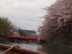 予約していた「岡崎桜回廊十石舟めぐり」に参加。
舟で岡崎エリアを巡りながら、川沿いに咲き誇った桜を楽しみました。
ちょっと寒かったのが残念ー！