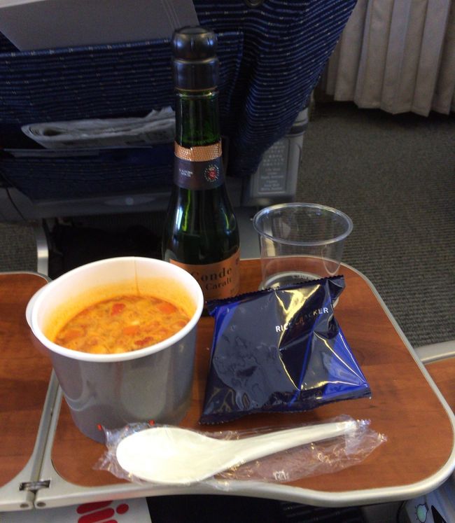 さらに、軽食のミネストローネをいただきました。<br />