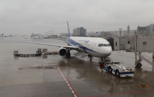 優先搭乗があり、機内へ。<br /><br />外はしっかりと雨が降っています。<br /><br />石垣まではB767-300です。<br />