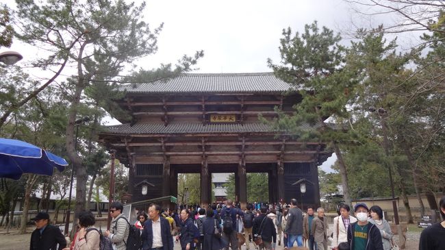 午前新大阪にて用事を済ませた後、奈良へ。<br />宿はＪＲ奈良駅近くのスーパーホテルです。<br />荷物をおいた後、連れの希望で奈良市内観光へ。<br /><br />こちらは奈良の東大寺。<br />前回訪れたとき以上に（東大寺は開門が７時半と早いので前回は早朝に回しました）人が多い…！<br />海外からの観光客が殊の外多い印象でした。<br />ま、奈良のメインでだものね。
