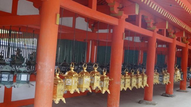 春日大社の灯篭。<br />春日大社は式年造替の年だそうで前回訪れた昨年秋とは本殿の位置が違っていました。<br />時間があまりなかったので特別公開をしていた本殿へは行きませんでした。<br /><br />あとそういえば、最近話題になっている、神社仏閣へ油をまいた跡が見つかった事件で、取材など来ていました。<br />本殿に至る門の外側で、油のような跡がくっきりありました。<br />ひどいねー…。<br />（そりゃ春日大社のこの門に限って言えば創建当時からあるその物自体が貴重なもののわけではないんだろうけど、、、）…犯人には罰はともかくとしてとりあえず歴史を学んでいただきたい。<br />こういうものが存在するからこそ、こんな昔のいろんなものが残ってるというロマンを知っていただきたい。