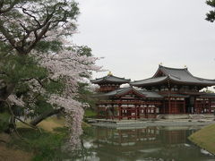 平等院鳳凰堂、10円硬貨のモチーフ。(京都市　宇治）

Byodoin Temple, a motif of the 10 yen coin. (The copper one)
