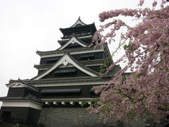 雨の熊本城。いかにも質実剛健な外観です。

Kumamoto Castle in the rain. 