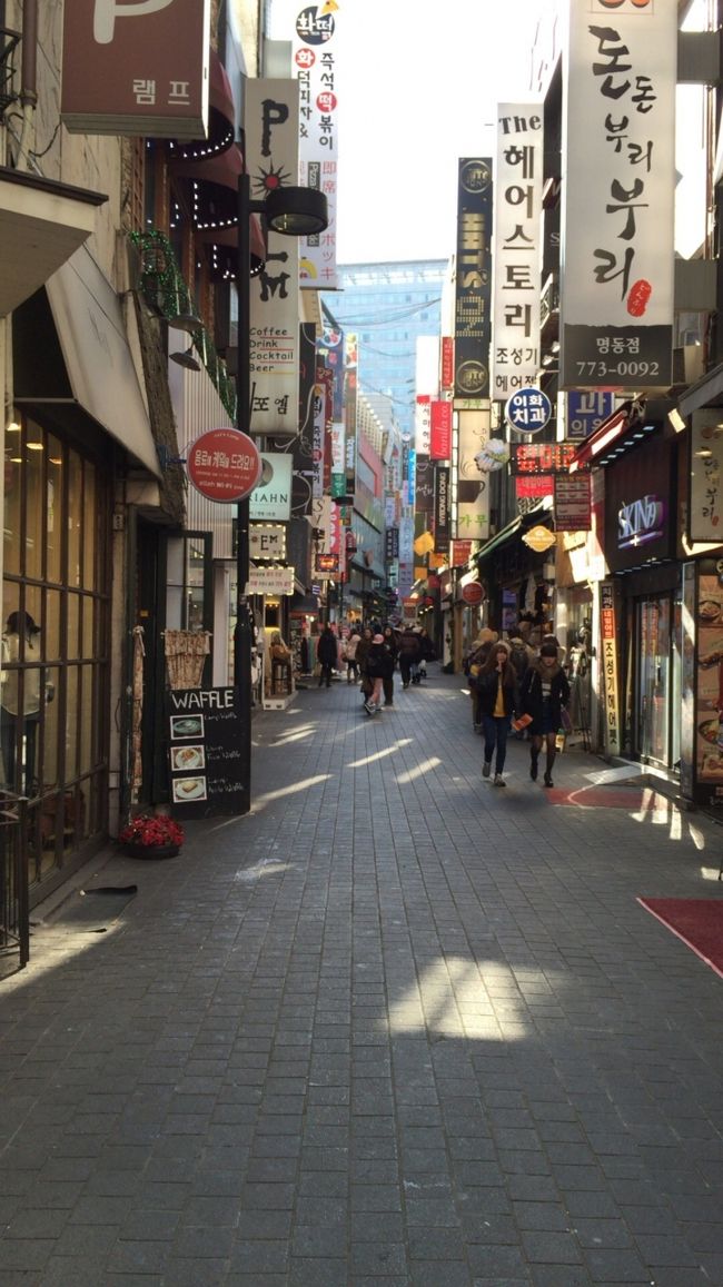 ここから先はほぼ飲み食いだけしか書いてませんし、ソウルの定番が多いので参考にはならないかもです。<br /><br />ソウルに着いての一食目は<br />神仙ソルロンタン明洞店！<br /><br />写真撮り忘れてます。。。<br /><br />味は中の中。。。嫁は気に入ってました。