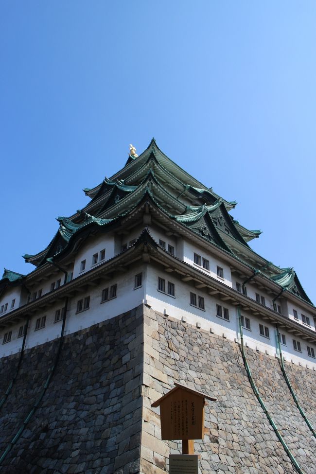 名古屋城も久しぶり。<br />前に来たのは10年前ぐらい。