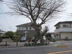 大山街道に戻って進みむと、赤坂バス停の手前、根回りの太い銀杏の古木の根本に⑥「不道明王座像」があります。