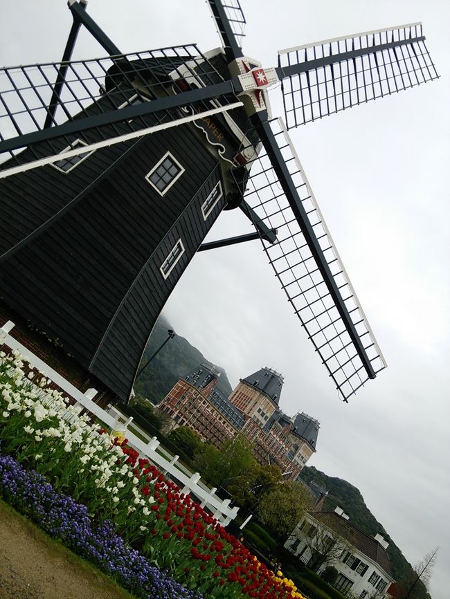 まるでオランダにいるかのようなフラワー通り