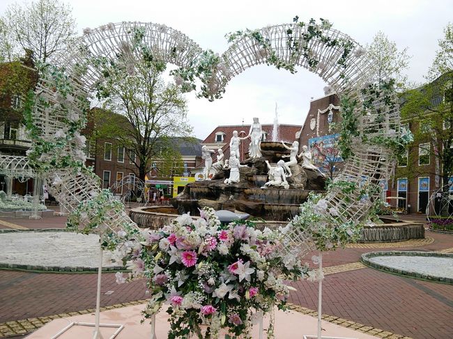 どこもお花がいっぱい