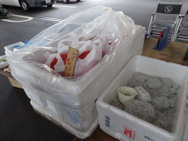 桜エビも扱っていました。生シラスも。