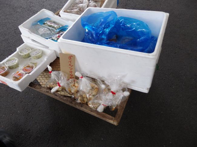 ボイルアオヤギ。