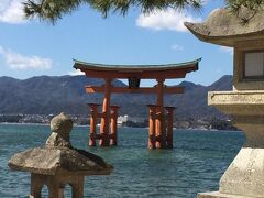 厳島神社の鳥居です。
美しい景色で、ポストカードのような写真が撮れます。