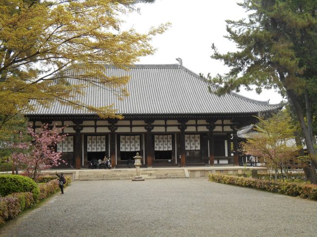 10:20奈良近鉄駅に到着<br />その足で唐招提寺に向かいました。<br />事前に天平の甍を読みました。