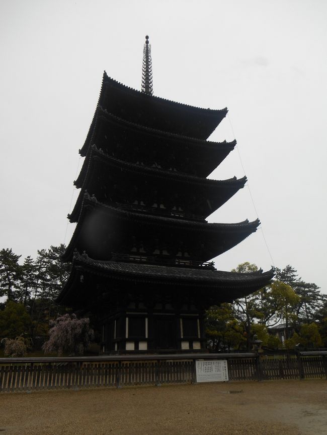 興福寺と言えば、五重塔<br />法隆寺と興福寺甲乙つけがたい。