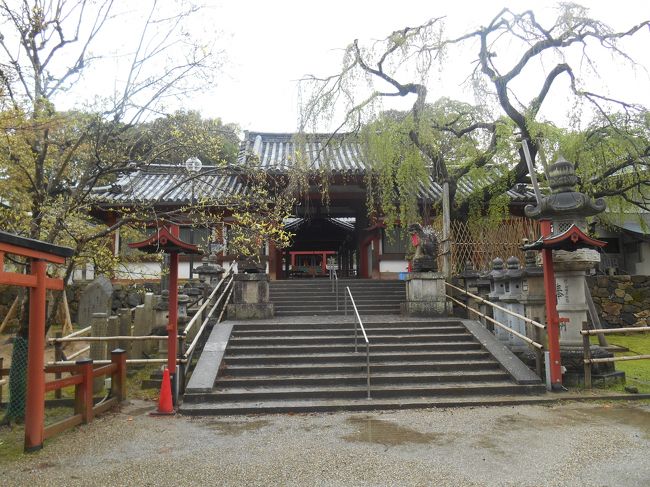 東大寺に向かう途中氷室神社があります。<br />桜の時期はさぞかしきれいだったのでしょう。