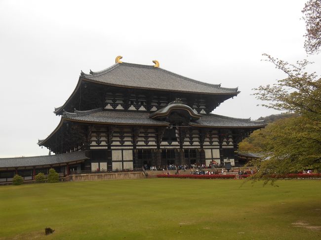 東大寺大仏殿に到着！たび重なる火事にも負けず奈良の顔として活躍しています