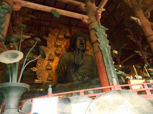 大仏様写真ＯＫなんですね。<br />ありがたい