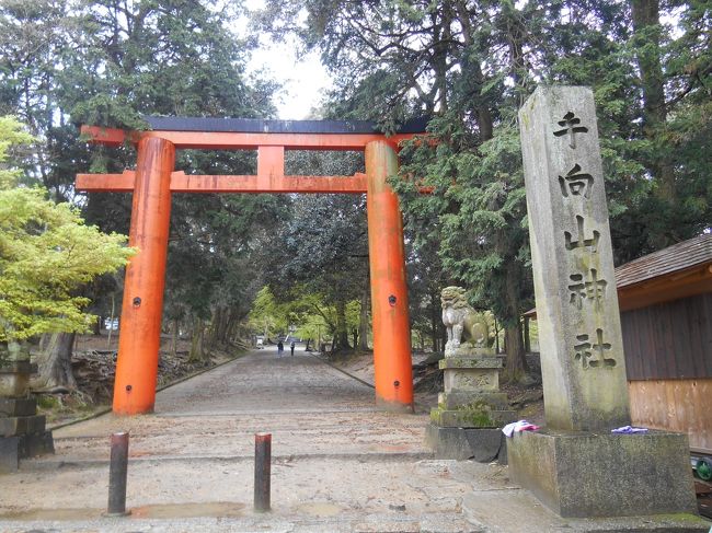 ２月堂に行く途中に手向山神社があります。<br />階段を上らないといけません。<br />二月堂、法華堂を見てからかず春日大社に向かう途中に寄るのがお勧め