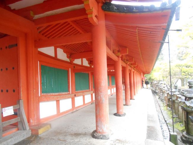 春日大社さんは裏から入る形になりますね。