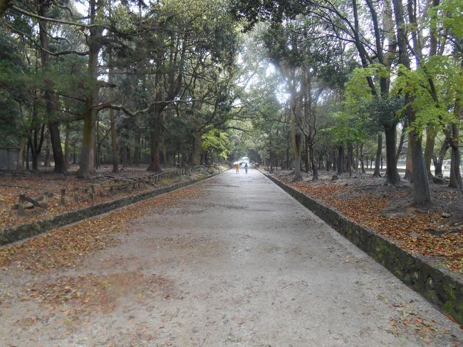 参拝して新薬師寺さんに向かいます。<br />参拝道はやはり整備されています。