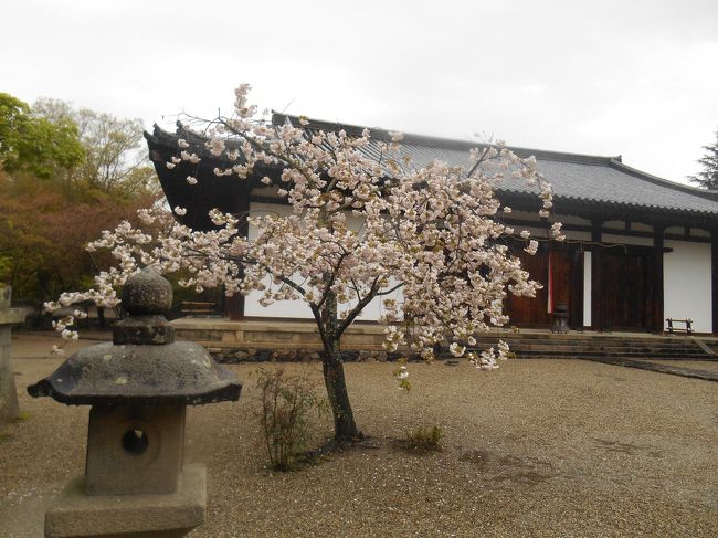 新薬師寺さんはちょっとわかりにくいところにあります。<br />白毫寺までは歩いて15分。<br />行こうか迷いましたが諦めて元興寺に行くことにしました。